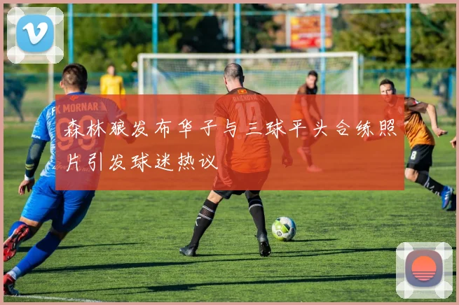 森林狼发布华子与三球平头合练照片引发球迷热议
