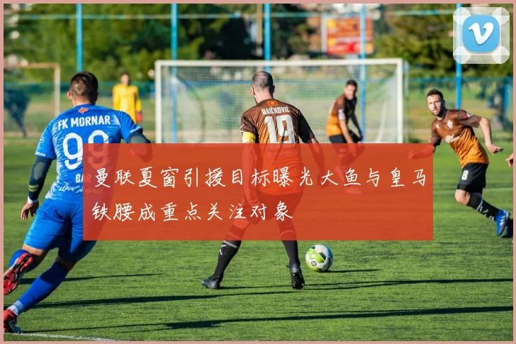 曼联夏窗引援目标曝光大鱼与皇马铁腰成重点关注对象